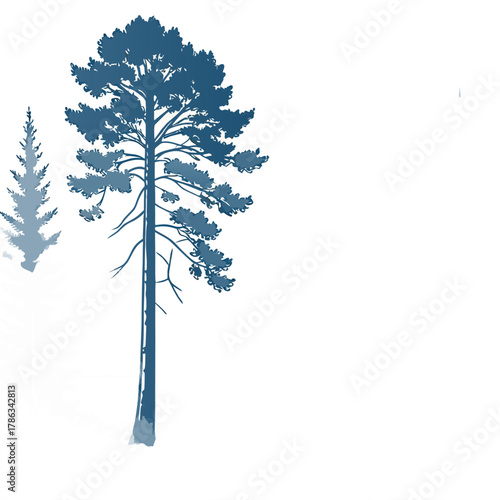 Illustration of two evergreen trees with a taller tree in the foreground on a white background
