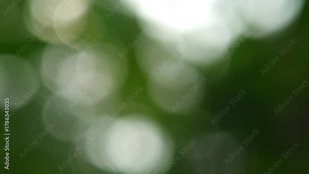 Seamless loop beautiful blurry green nature bokeh background. Sunlight shining through the leaves of trees, Natural blurred background. sunshine through green bokeh of fresh foliage. 4k video