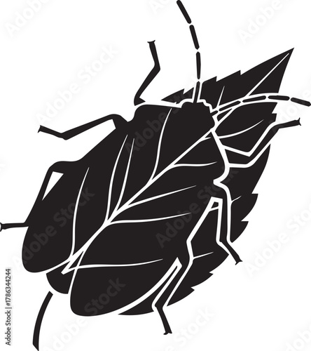 Detailed black and white silhouette of a stink bug perched on a leaf perfect for nature or insect themes