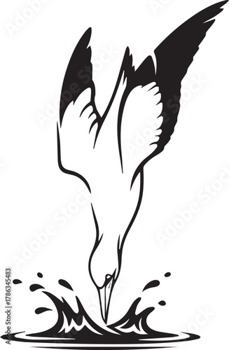 Seabird diving for fish into water splash dynamic action wildlife nature scene