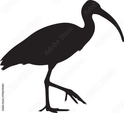 Silhouette of an ibis bird with long downcurved beak in profile view iconic wild animal