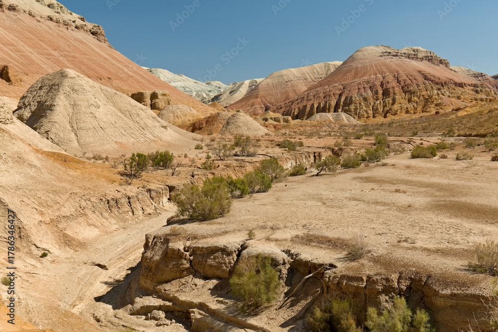 Fototapeta premium Aktau Mountains, are a unique geological formation, the bottom of a dried-up ancient ocean in Altyn-Emel National Park. UNESCO Biosphere Reserve. Kazakhstan. Asia.