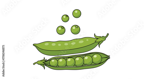 Fresh green peas shown both inside their pods and shelled, illustrating a healthy and natural vegetable, perfect for cooking or a nutritious snack.