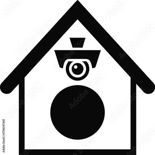 Security camera inside a house