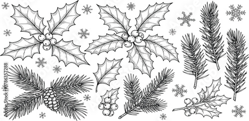 Festive Winter Holiday Elements Holly Sprigs, Pine Branches, and Snowflakes for Christmas and Seasonal Decor
