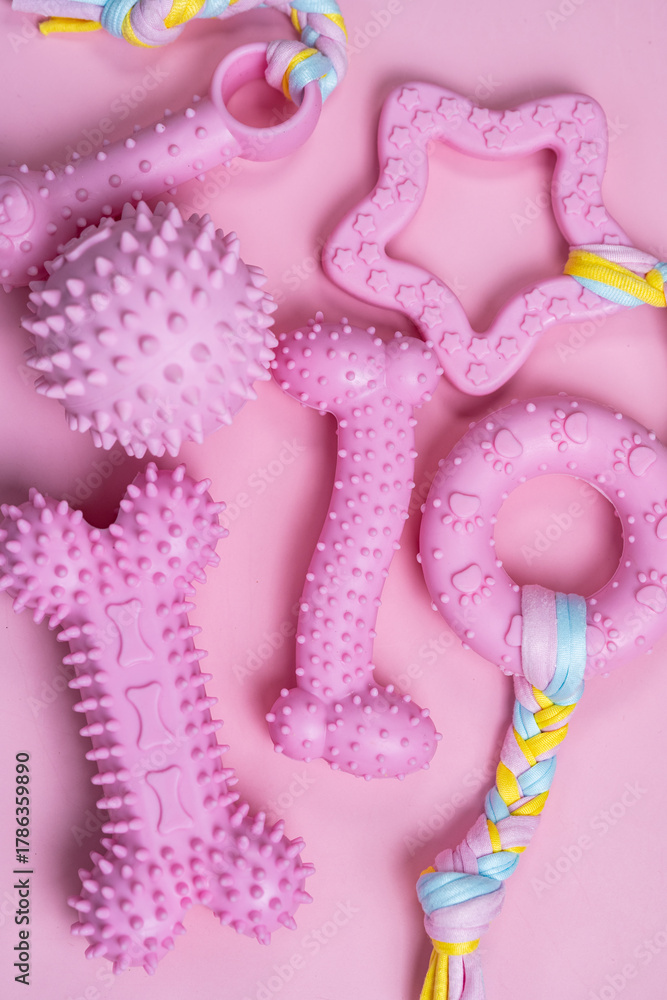 Fototapeta premium dog toys