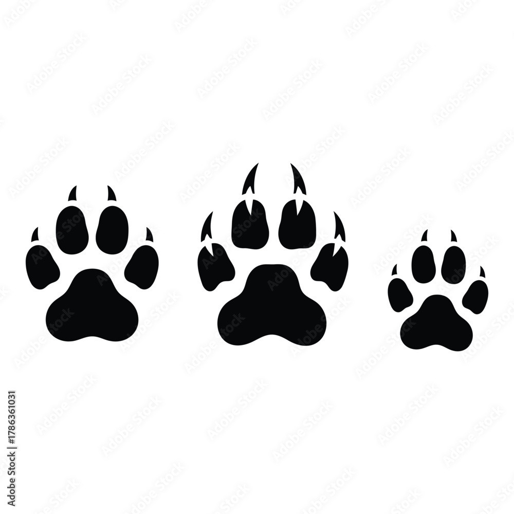 Fototapeta premium Paw prints