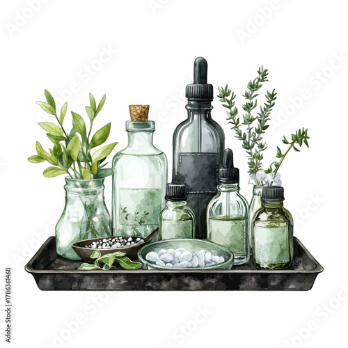 Watercolor Apothecary Essential Oil Bottles and Herbs Tray Vector Clipart
