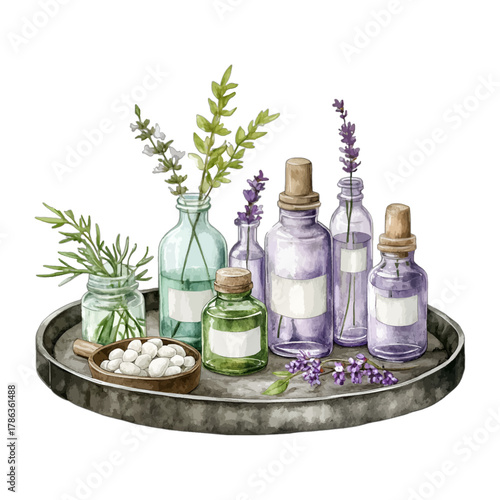 Watercolor Apothecary Essential Oil Bottles and Herbs Tray Vector Clipart
