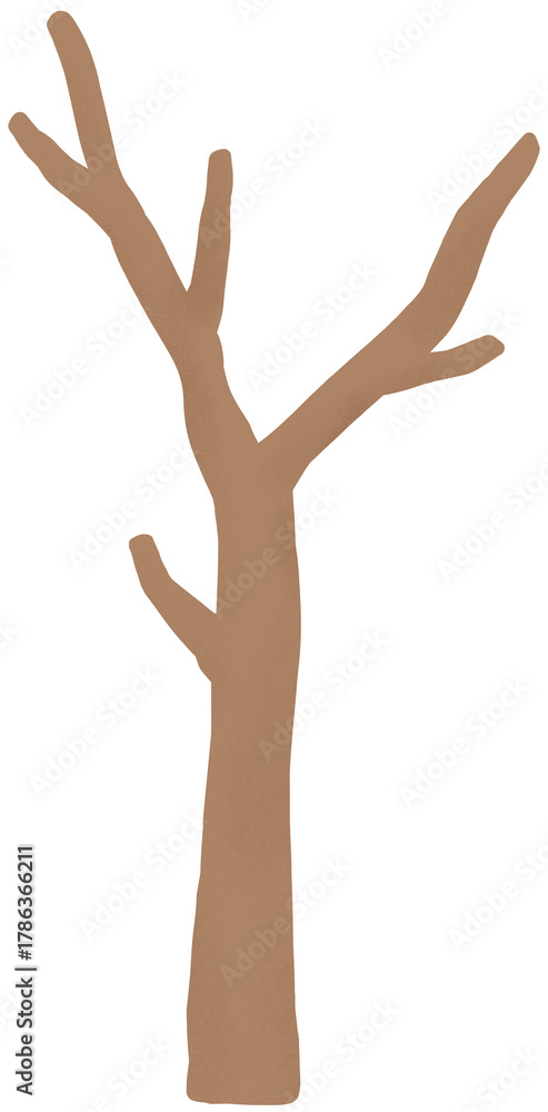 Fototapeta premium 나뭇가지