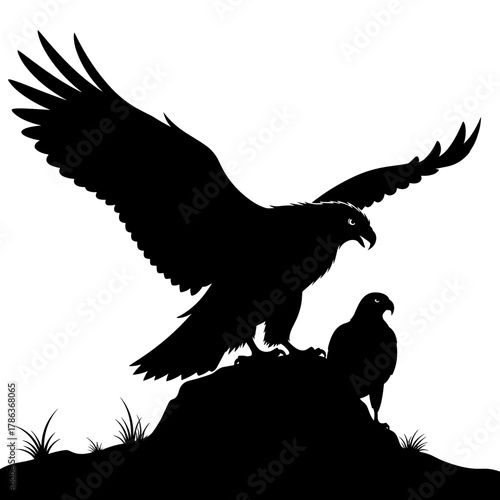 Eagle silhouette perched on rock with another bird in background  