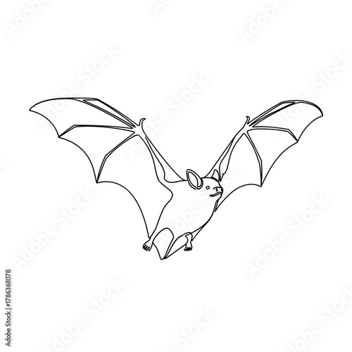 Bat flying with outstretched wings in outline style  