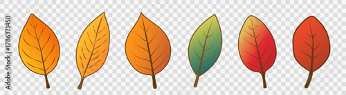 A set of bright, simple autumn leaves of different colors on a transparent background. Cartoon foliage for seasonal design. Vector illustration.