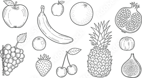 Fruit line drawing, black and white sketch, educational fruit illustration, simple coloring page, healthy food icons, flat vector illustration