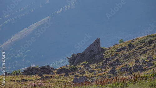 Canvas Print Le rocher dominant