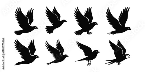 set of bird silhouette icon. Collection of eight black silhouette bird illustrations in various flying poses with textured wings