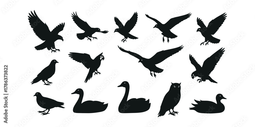 Fototapeta premium bird silhouette icon set. Collection of silhouettes of various birds in flight and standing poses. set of bird silhouette icon.