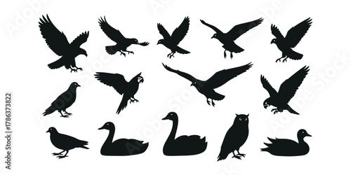 bird silhouette icon set. Collection of silhouettes of various birds in flight and standing poses. set of bird silhouette icon.