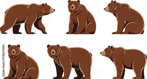 Realistic brown bear illustrations, wildlife animal poses, walking bear, sitting bear, standing bear, forest mammal clipart, nature character design