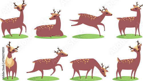 ANIMALS VECTOR