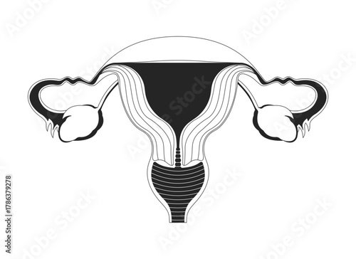 Female reproductive system outline illustration. Uterus with fallopian tubes, ovaries. Women health. Gynecological internal organ 2D line object isolated on white. Monochrome vector ink linear image