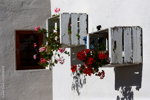 Galera near Baza, Granada, Huéscar, Granada, Andalusia, Spain, Europe : Renovated cavehouses provide unique modern living spaces, white washed wall decorated with flowers hanging in wooden containers
