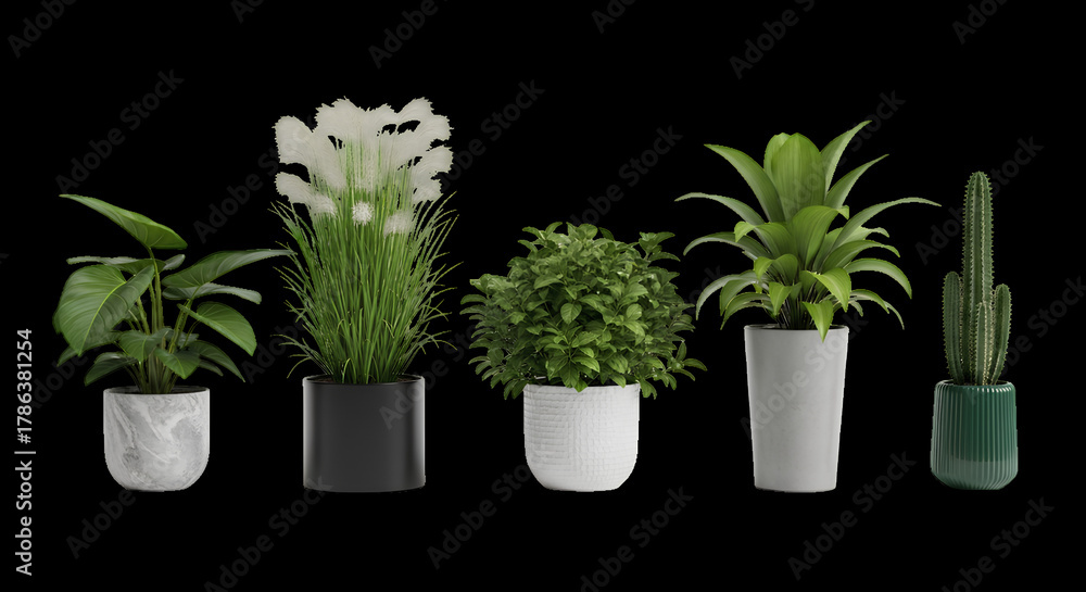 Fototapeta premium Collection of five potted houseplants isolated on transparent background