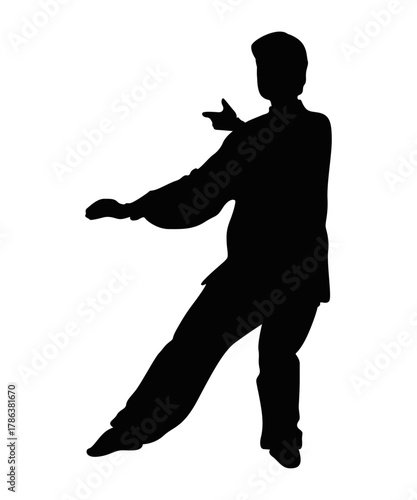 Tai Chi silhouette : A serene silhouette of an individual in dynamic motion, showcasing the fluid movements of Tai Chi.