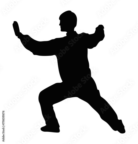 Tranquil Silhouette: A solitary figure, a master of Tai Chi, finds harmony in the balance of movement, evoking a sense of calm strength and spiritual contemplation.