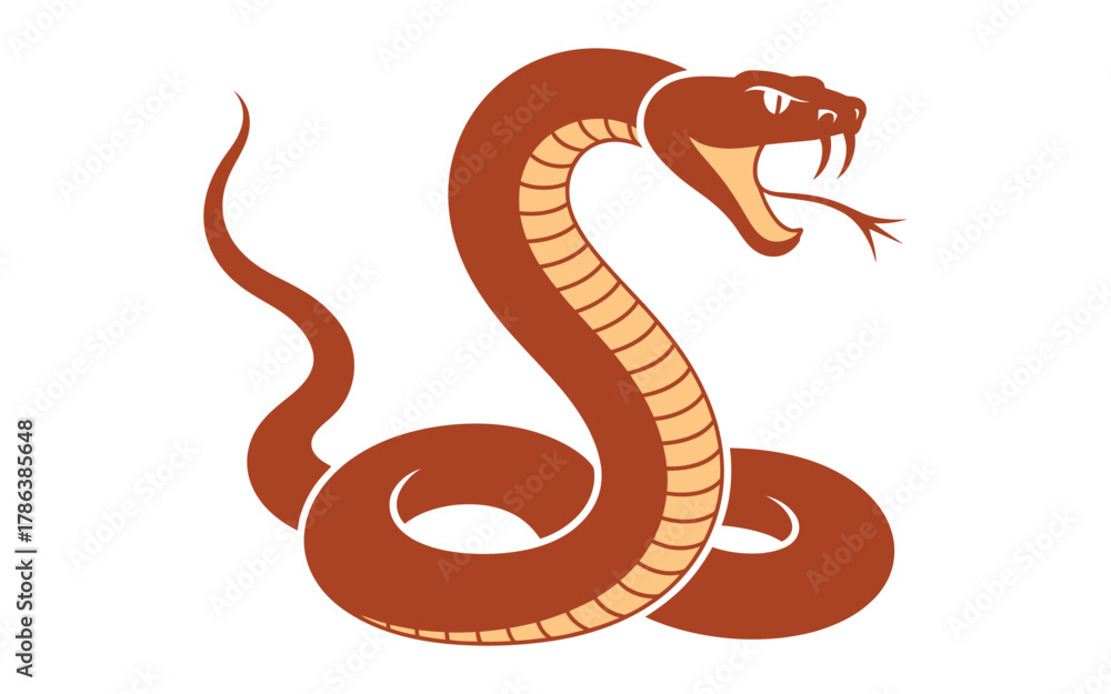 Fototapeta premium Fierce viper coiled and ready to strike with open mouth and fangs