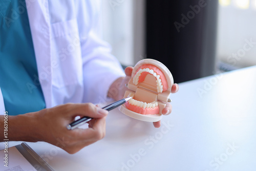 Cuadro en lienzo Dentist uses a dental model to explain oral health and treatments to a patient