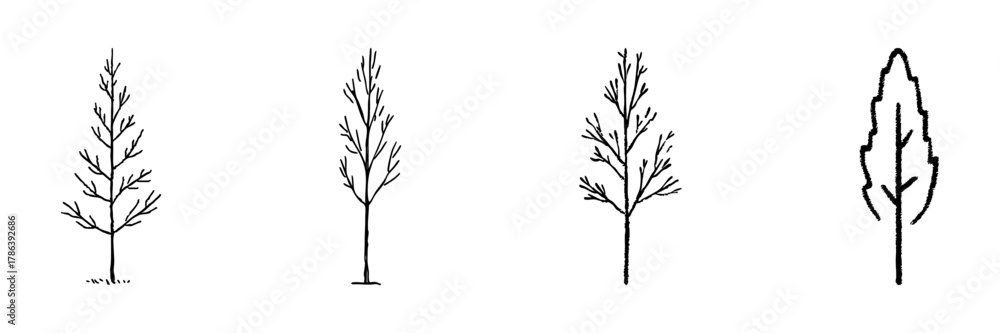 Fototapeta premium Four Tree Line Icons In Doodle Style. Nature, Growth, And Seasonal Change Representation Outline Sketch Collection. Hand Drawn Isolated Vector Illustration
