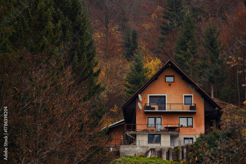Rustic cabin amid pine trees with vibrant autumn colors