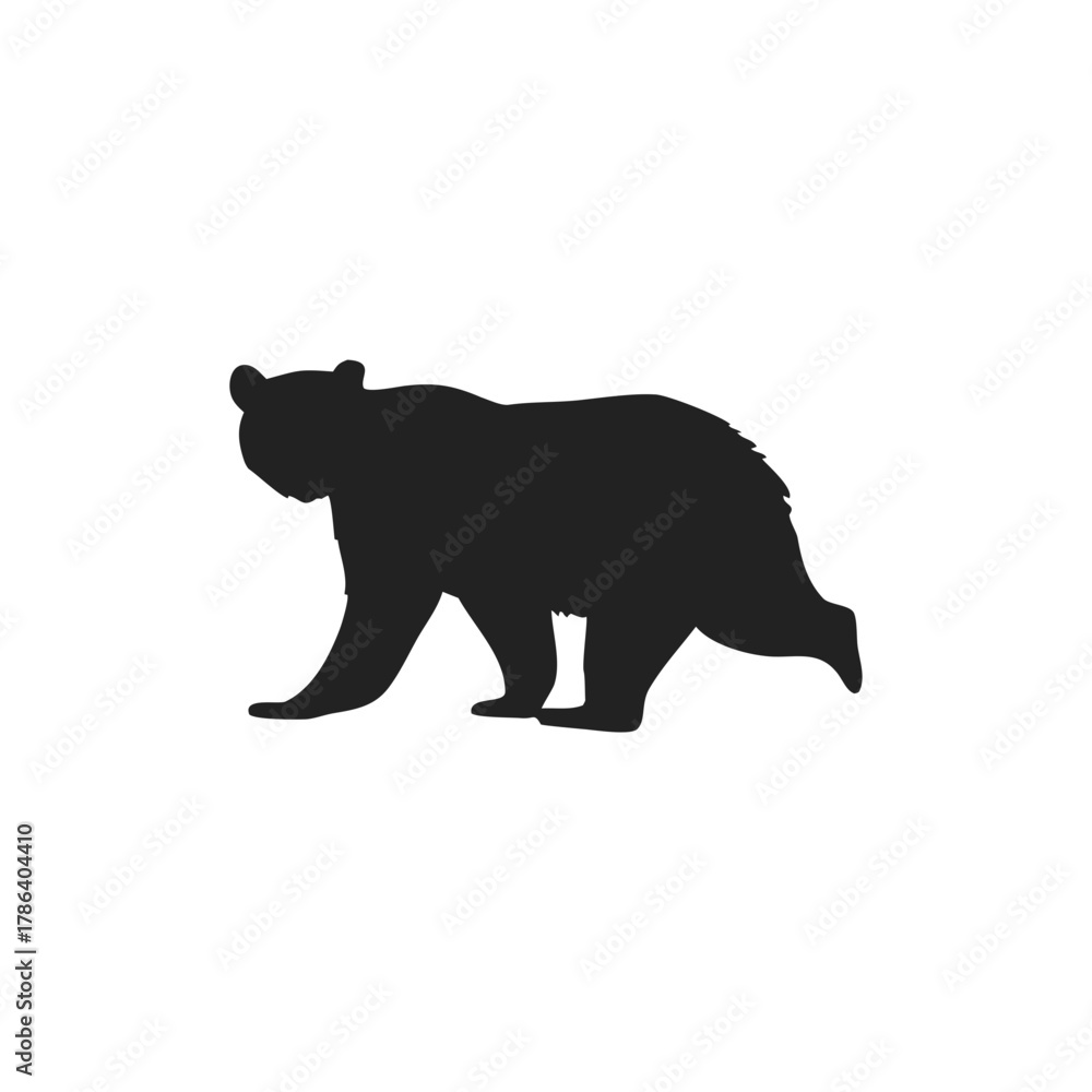 Fototapeta premium silhouette of wild bear