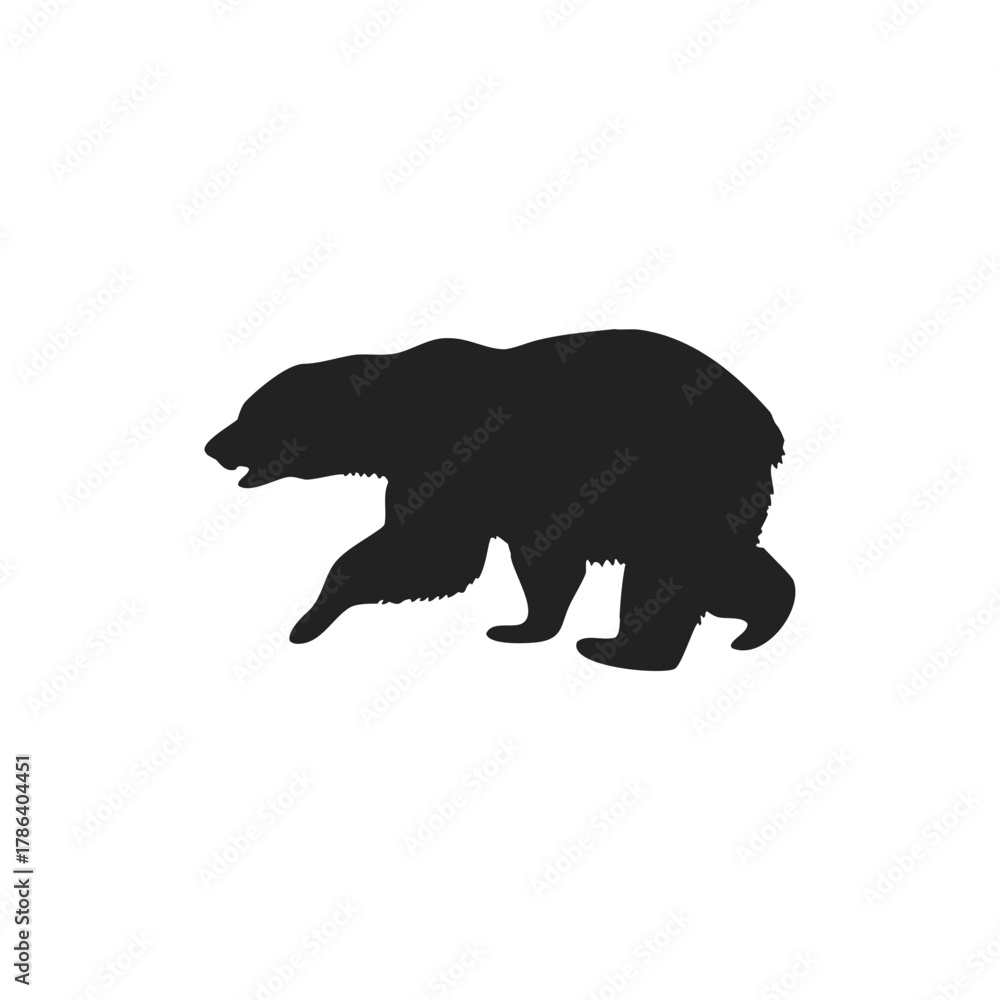 Fototapeta premium silhouette of wild bear