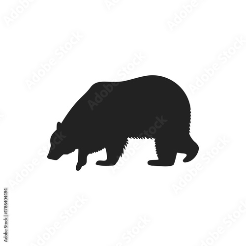 silhouette of wild bear