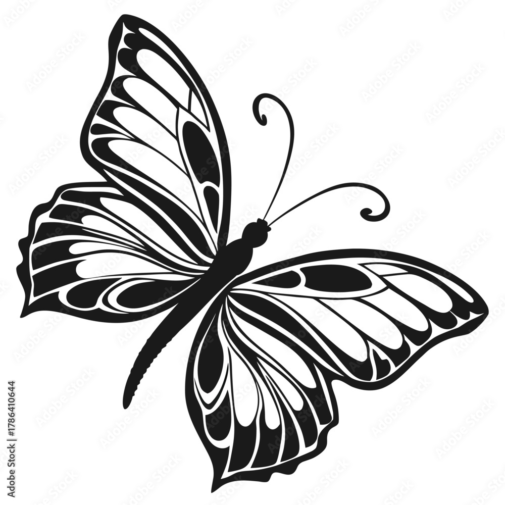Obraz premium Black and white butterfly silhouette vector illustration of a beautiful insect on a white background with floral decoration