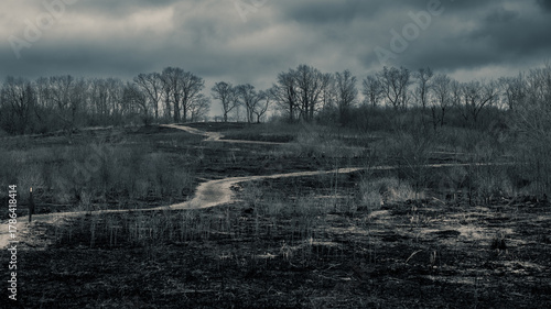 Dramatic Burned field from controlled burn