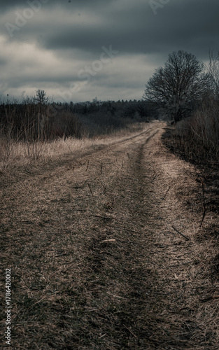 Dramatic Burned field from controlled burn