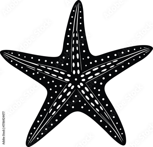 Detailed Black Starfish Silhouette sea star marine life