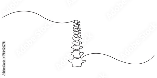 one line spine, Continuous one line drawing bones of human hand.  Wrist bones in single line art vector illustration. Editable stroke, Chiropractor spine. Continuous one line drawing on white back.