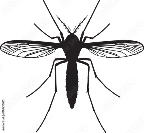 Detailed silhouette of a mosquito with spread wings and legs insect pest on transparent background