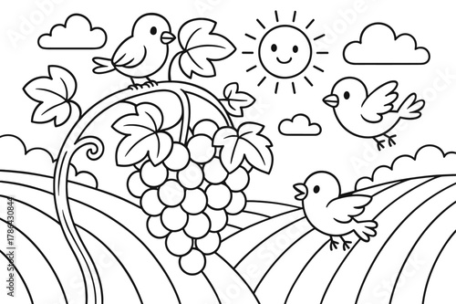 Grapes and Birds Coloring. grapes growing on a vine children?s coloring book illustration, outlined drawing, a sunny vineyard with ripe grapes and happy birds,