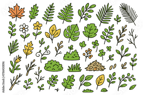 Colorful Garden Foliage. Garden foliage. Hand-drawn doodle illustration maple leaves (colored), oak leaves (colored), fern fronds (colored), ivy (colored),