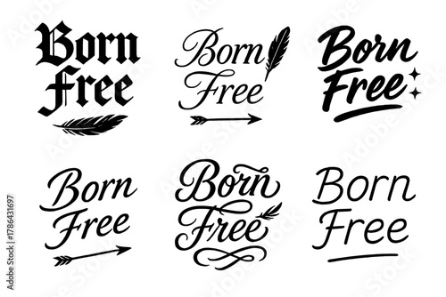 Born Free Calligraphy. Born free. Create a calligraphy lettering illustration of the phrase: Born free. Render