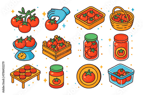 Tomato Harvest Icons. Tomato harvesting and storage. Colorful isometric vector icons set of Tomato harvesting and storage: ripe fruit cluster, hand-picking