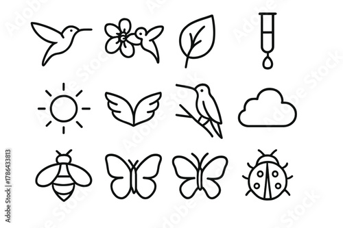 Hummingbird Icon Set. Hummingbirds. Line outline icon set of hummingbirds: hummingbird, flower, leaf, nectar,
