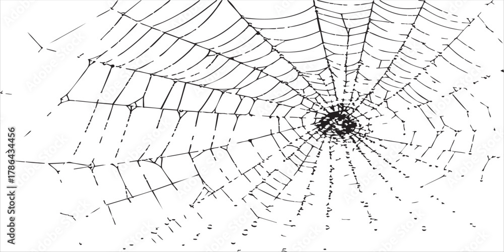 Obraz premium Spider Net Texture Brush Pack