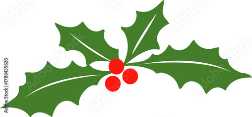 Holly berries clipart, Christmas holly, icon, mistletoe, vector, leaf, berry, template, corner, leaves, illustration, Christmas border clipart, isolated on white background Christmas Holly Berries.