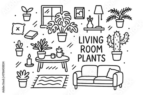 Living Room Flora. Living Room Plants. Hand-drawn doodle illustration of Living Room Plants. plant pot,
